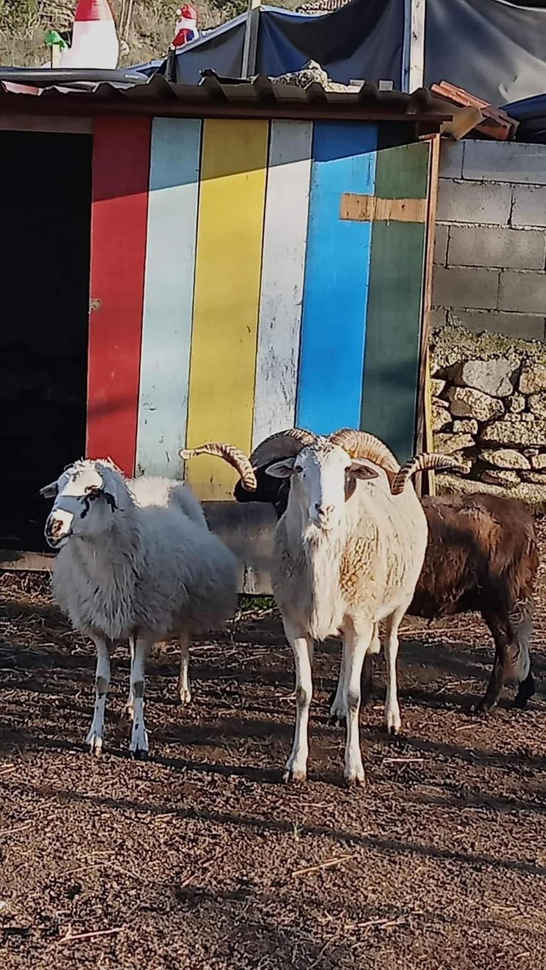 Gojim Casa Rural アルママール エクステリア 写真